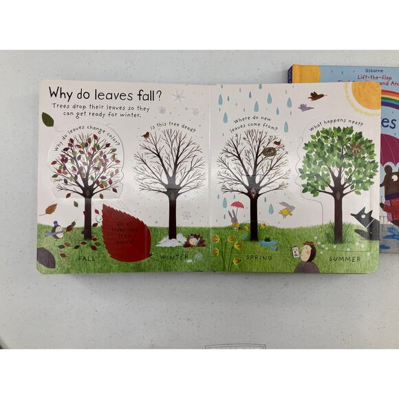 Lot of 2 Usborne Lift The Flap First Questions & Answers Rain Flowers Kids Books - Picture 5 of 7